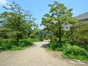 平成つつじ公園