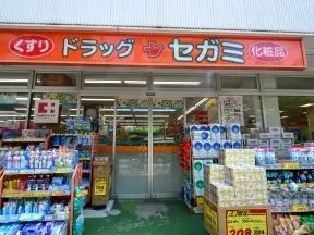 ドラッグセガミ 練馬店