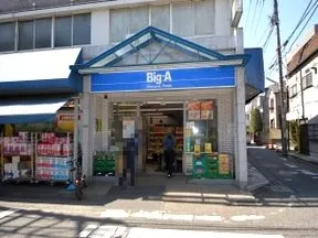 ビッグ・エー　世田谷祖師谷店