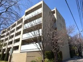 B-court 南東側からの外観