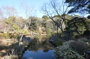 新江戸川公園