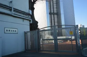 聖園幼稚園