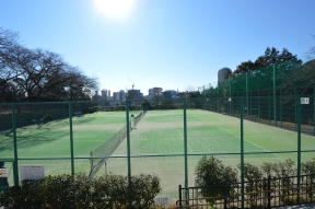 小石川運動公園テニスコート