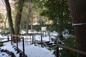 実篤公園