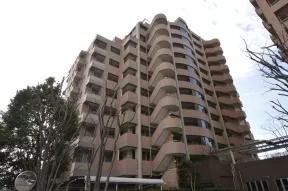 SOUTH HILLS・東側からの外観