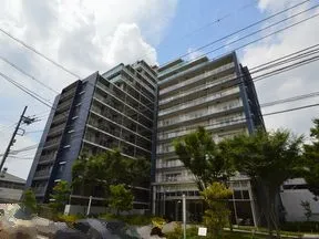 北から見た外観