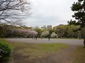 清澄公園