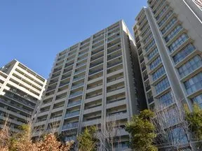 北側より