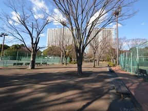 テニスコート（有明テニスの森公園内）