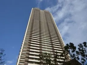 南西側より