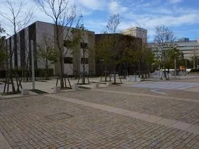 森の広場