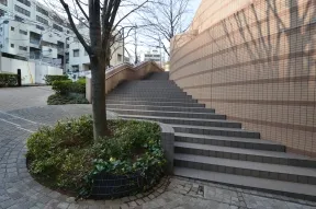 さくらの丘へのアプローチ