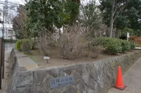 杉並区立塚山公園