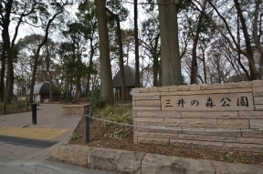 三井の森公園