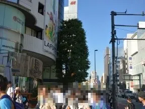 明治通りを北に進みます。