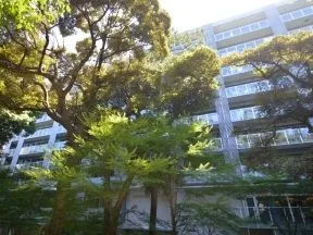 北東からの外観