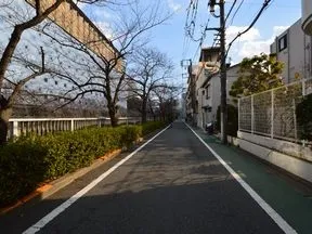 目黒川沿いを直進