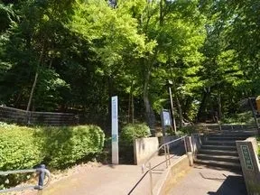林試の森公園