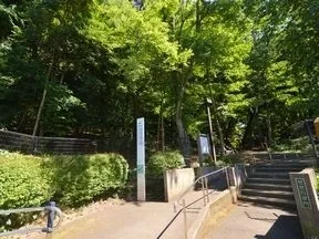 林試の森公園