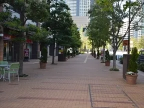 敷地西側道路と外観