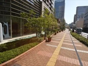 敷地南側道路と外観