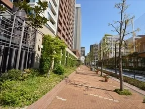 敷地東側道路と外観