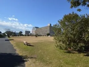 稲岸公園