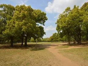県立行田公園