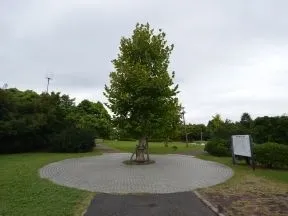 高洲太陽の丘公園