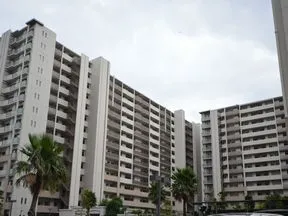 駐車場より