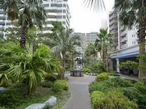中庭