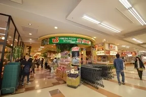 文化堂