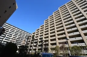 南側より