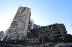 豊洲運河方面より