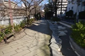 神田川沿いジョギングコース