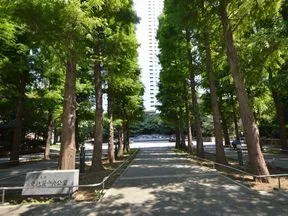 東池袋中央公園