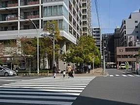 旧海岸通りを渡る