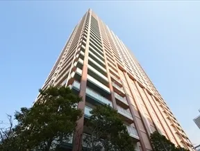敷地南側からの外観