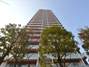 敷地北側からの外観
