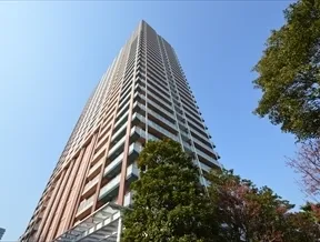 敷地北側からの外観