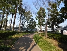 敷地内の杜