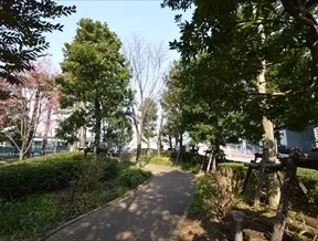 敷地内の杜