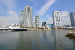 高島水際緑公園より