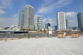 高島水際緑公園より