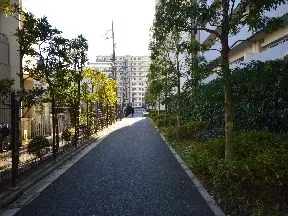 マンション横の細い道を直進します