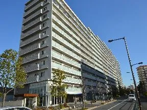 スカイレジデンス棟西側より
