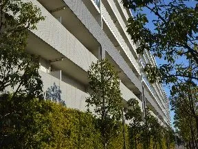 フロントレジデンス棟西側より