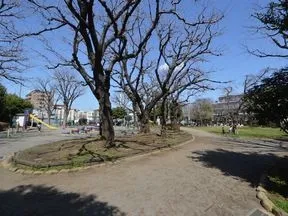 希望丘公園