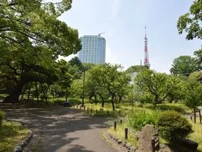 港区立芝公園（梅林）