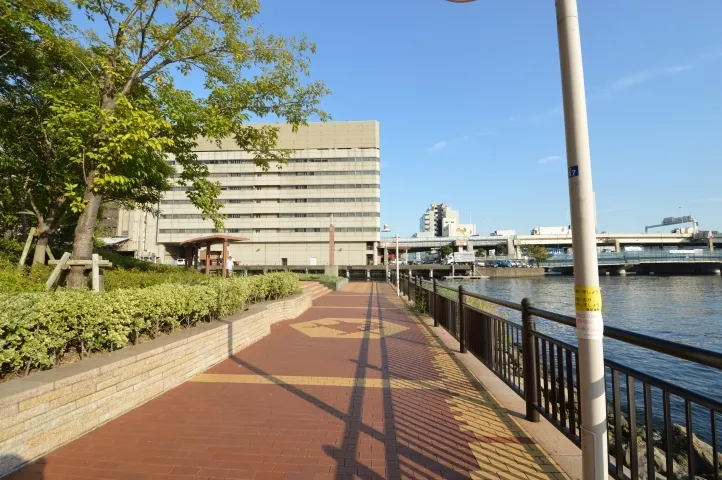 ケープタワー南側の遊歩道